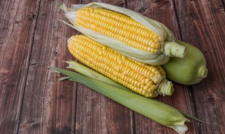 微波炉蒸玉米要多久（微波炉蒸玉米要多久时间）
