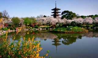 武汉最有名的景点是什么（武汉最著名的景点是什么）