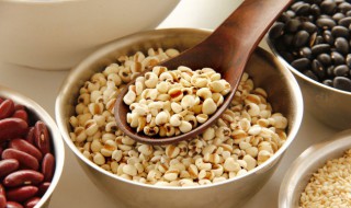 急薏米仁煮多长时间会熟（薏仁米煮多长时间能熟）