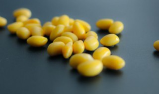 空气炸锅炸黄豆需要多长时间（空气炸锅炸黄豆的做法）