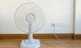 电风扇英语怎么读（电风扇英语怎么读fridge）