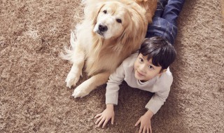 梦见被两只狗追咬是什么意思 梦见自己被两只狗追咬什么意思