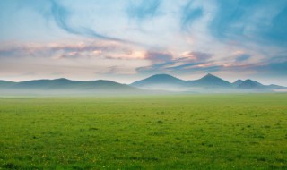 梦见草是什么意思 梦见草是什么意思有什么预兆