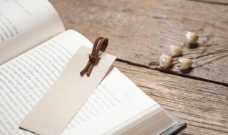 姓的拼音（姓的拼音大写字母）