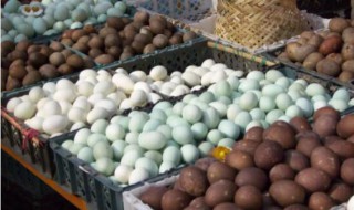 白洋淀特产有些什么 河北白洋淀的家乡特产是什么