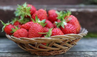 草莓的生长过程（草莓的生长过程图片）