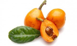 枇杷可以带皮吃吗(枇杷的皮可以直接吃吗)