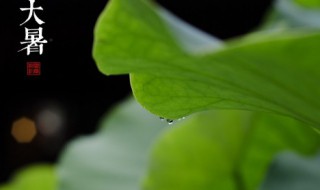 夏天的节气有哪些按顺序排列（夏天包括哪些节气）