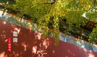 霜降节气的特点是什么 霜降节气的相关知识