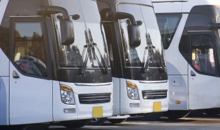 a2驾照可以开什么车（A1驾照可以开什么车）