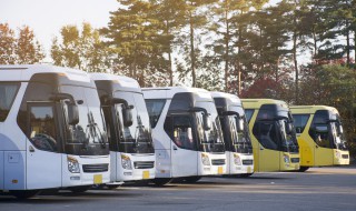 b2驾照可以开什么车(b2驾照可以开什么车客车)