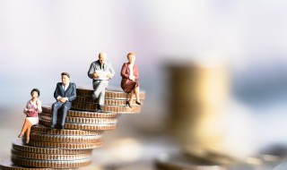 社保单位编号是什么（单位登录社保单位编号是什么）