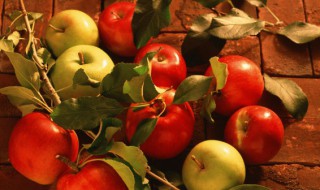 山东省有什么特产 山东省有什么特产品(不买东西