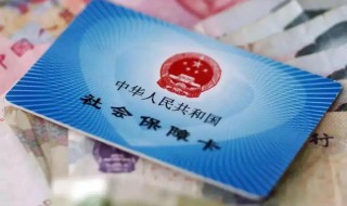 社保是什么保险（农村交的社保是什么保险）