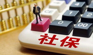 社保专员是干什么的 社保专员是做什么的