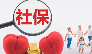 社保缴费基数是什么(灵活就业人员社保缴费基数是什么)