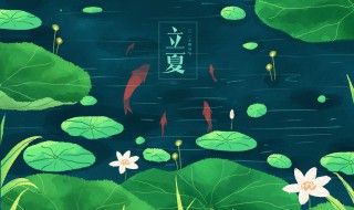 24节气立夏是什么意思 立夏是24节气吗