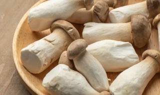 杏鲍菇可以放冷冻吗 杏鲍菇可以冷冻冷藏吗?