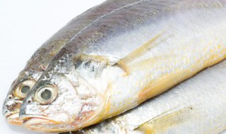 生鱼可以冷冻多久 鱼片可以冷藏多久