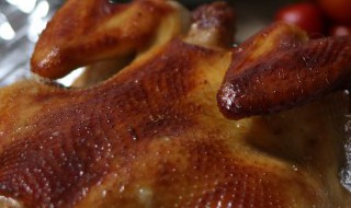 熟鸡肉放冰箱冷冻可以放多久（熟鸡肉放冰箱冷冻可以放几天）