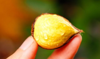 冻过的毛栗子怎样剥皮（冷冻的生毛栗子怎样剥皮）