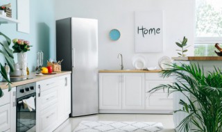 冰箱的速冻功能有什么用（冰箱急冻有什么用）