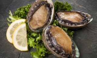 杀了的鲍鱼如何保存方法（鲍鱼杀了后怎样保鲜）