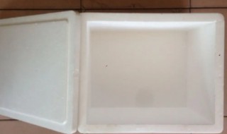 泡沫箱可以放进冰箱里吗 泡沫箱可以放冰箱里面吗