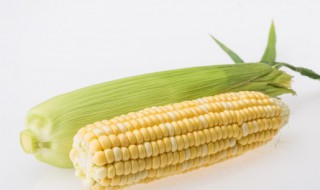 鲜玉米怎么过夜保存不会坏(玉米存放方法怎么样才不会坏)