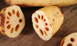 藕如何保存明年发芽(藕发芽后怎么养)