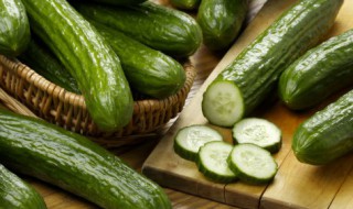 吃西红柿黄瓜减肥吗 晚餐吃西红柿黄瓜减肥吗