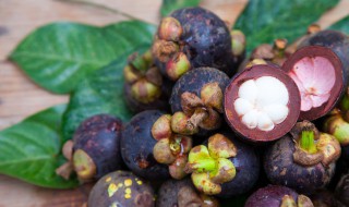 山竹可以做盆栽吗 山竹可以盆栽吗?