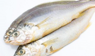 鲜海鱼怎么保存（海鲜鱼如何保存）