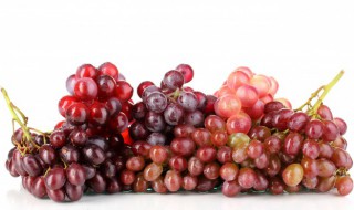 红提不剥皮可以吃吗（红提不去皮可以吃吗）