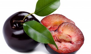 吃李子要不要去皮（吃李子要去皮吗）