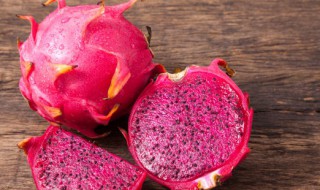 火龙果盆栽如何种植(火龙果树盆栽怎么种植方法)