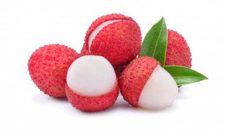 荔枝怎么种植盆栽 盆栽荔枝的养殖方法