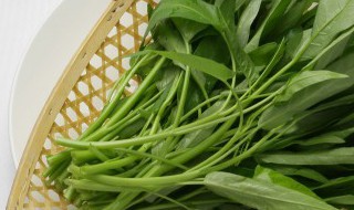 空心菜如何炒不会变黑（空心菜什么炒才不能变黑）