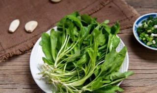 荠菜放冰箱冷冻一年还可以吃吗 荠菜冷冻半年还能吃吗