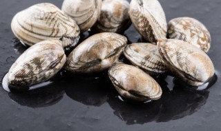 刚买回来的活蛤蜊怎么保存（市场买的蛤蜊怎么保存放几天）