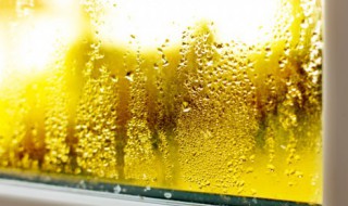 喷雾加湿器和无雾加湿器哪个好（无雾加湿器和有雾加湿器哪个好）