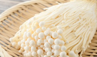 金针菇的根部能吃吗（金针菇的根能吃么）