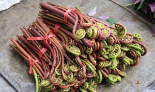 蕨菜怎么吃好吃（蕨菜怎么吃好吃怎么做好吃）