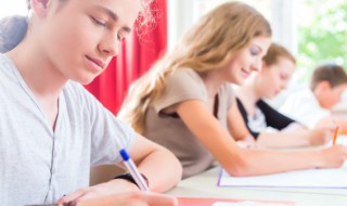 铲组词语 镶组词语