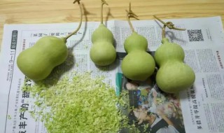 葫芦盘之前要去皮吗 盘葫芦要去掉皮吗