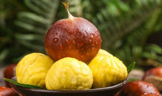 电饭锅煮栗子怎样好剥皮（自己煮栗子怎么好剥皮）