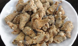 三七保存方法（三七的保存方法）