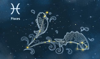 4.13什么星座 2022.4.13什么星座