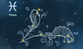 双鱼座是什么象星座 天蝎座是什么象星座