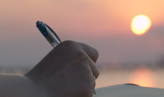 网的组词（网的组词是什么）